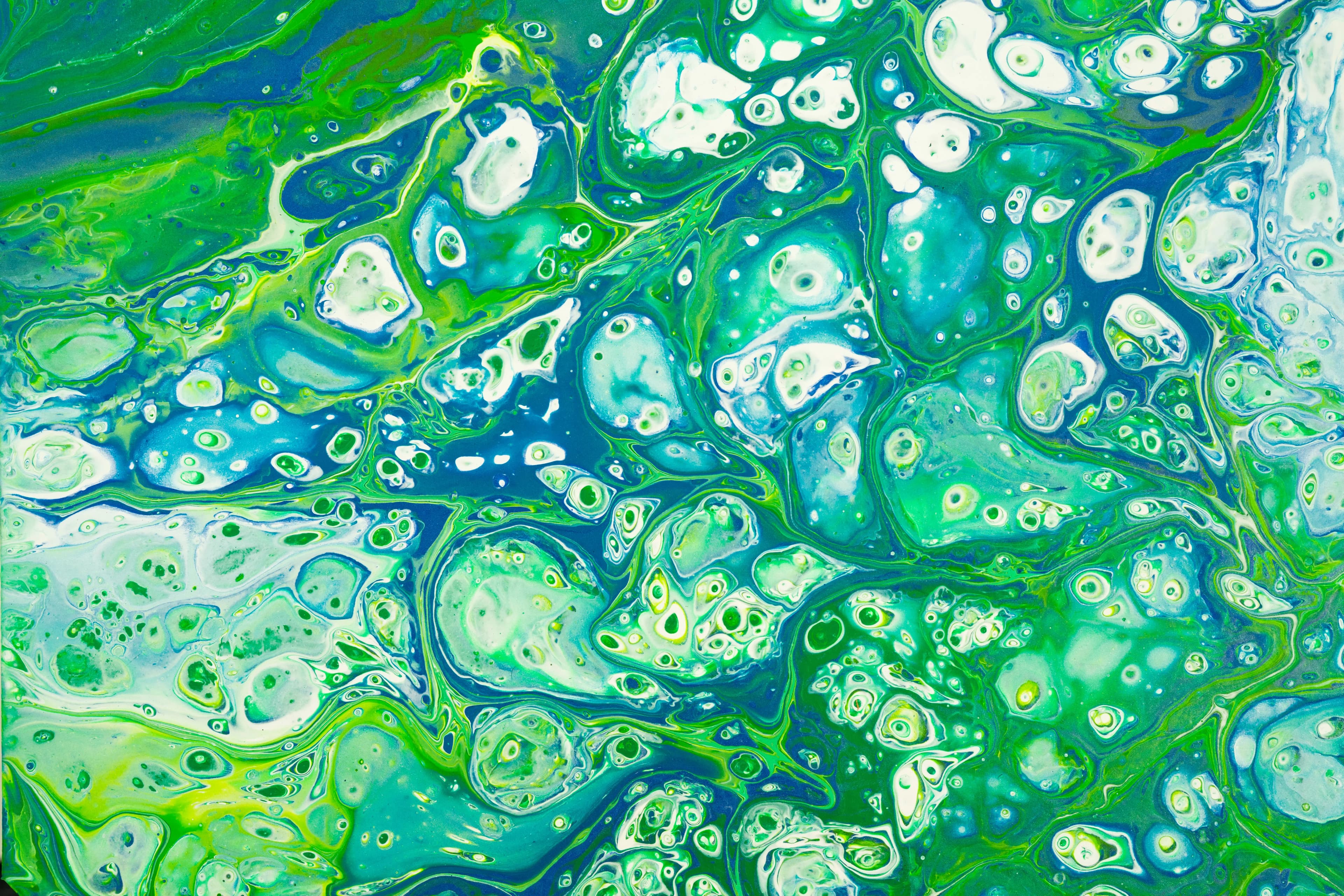 JPG to WebP lossless conversion illustration